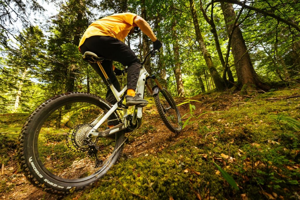 Michelin Wild Enduro e E-Wild Performance Line bici MTB muscolare pneumatici copertoncini gomme tasselli tassellate