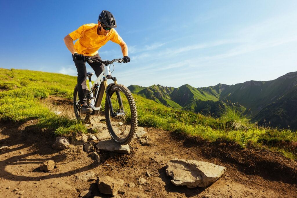 Michelin Wild Enduro e E-Wild Performance Line bici MTB muscolare pneumatici copertoncini gomme tasselli tassellate