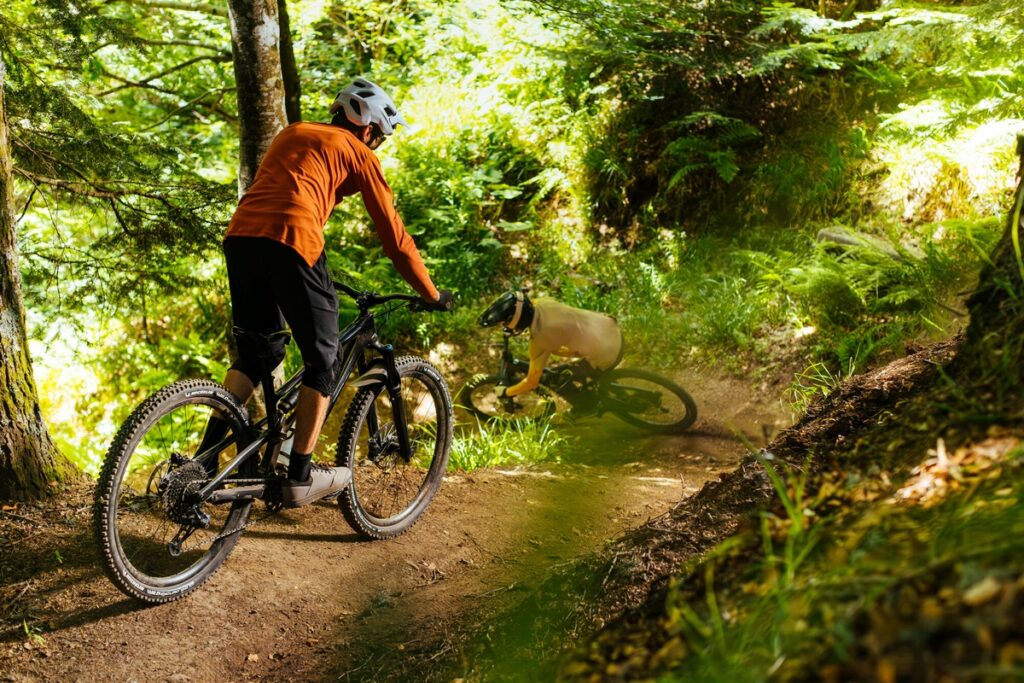 Michelin Wild Enduro e E-Wild Performance Line bici MTB muscolare pneumatici copertoncini gomme tasselli tassellate